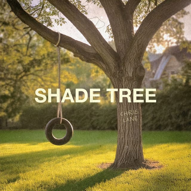 Album cover art for Shade Tree