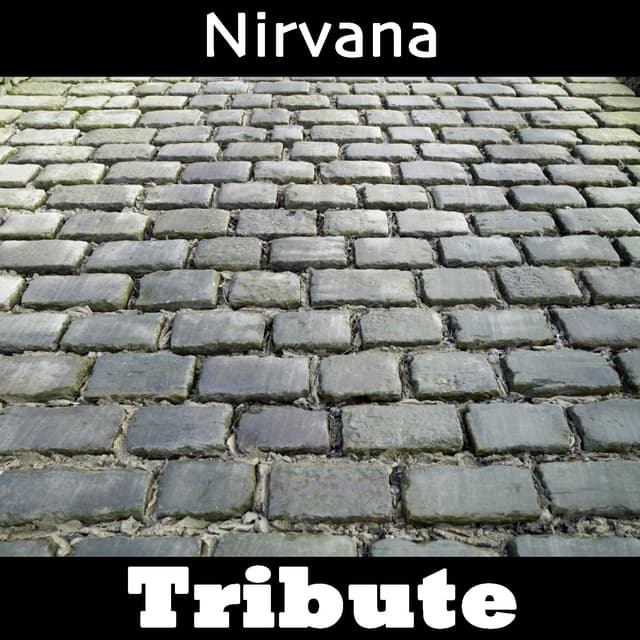 Album cover art for In Bloom: Tribute To Nirvana