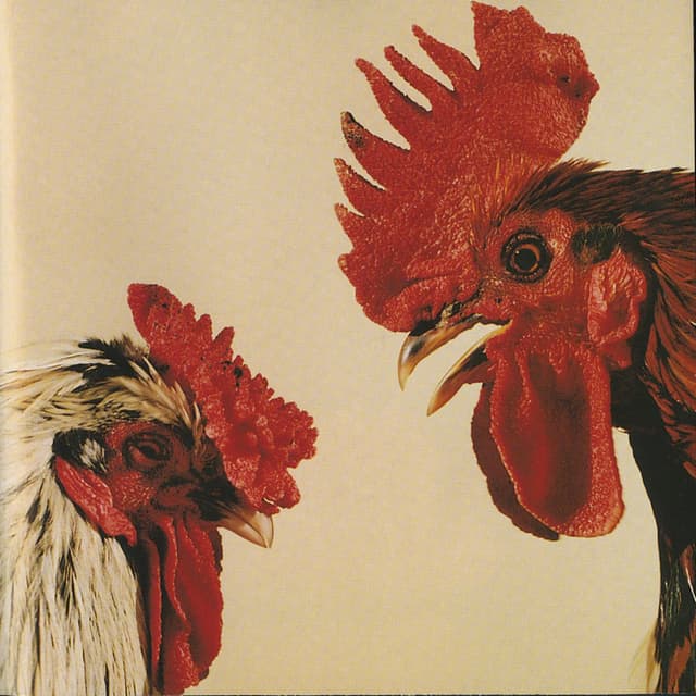 Album cover art for No Comprendo