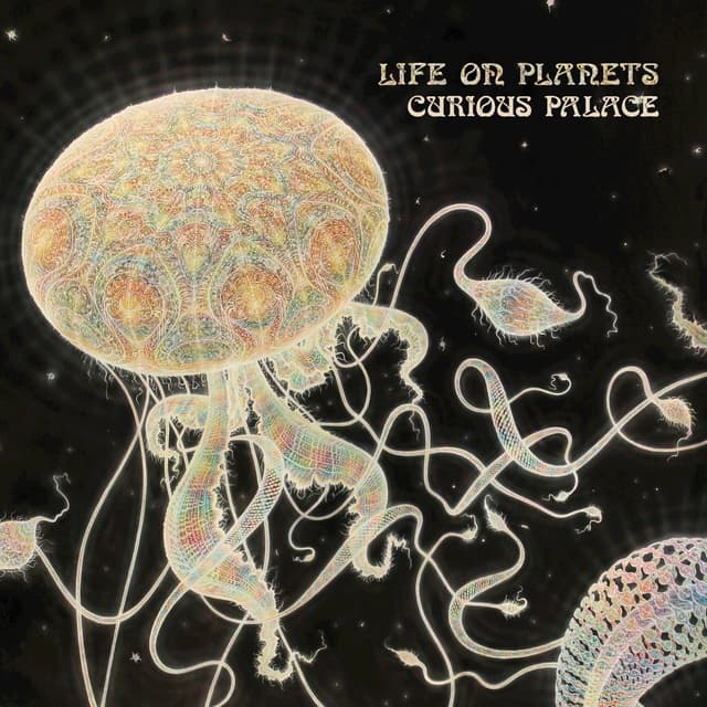 Album cover art for Curious Palace
