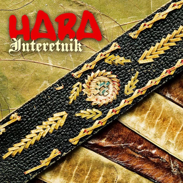 Album cover art for Interetnik