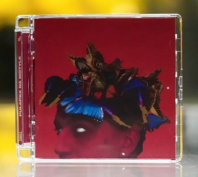 Album cover art for Pułapka Na Motyle