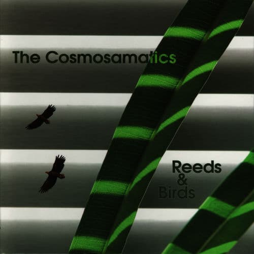 Album cover art for Reeds and Birds
