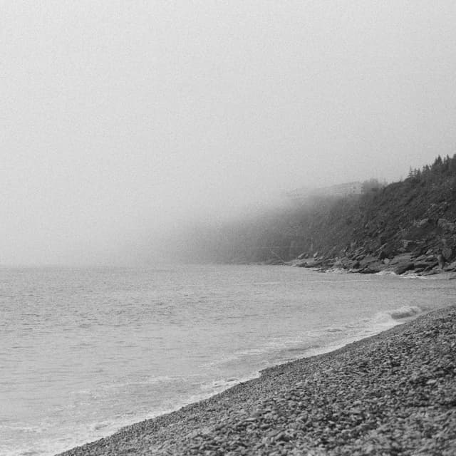 Album cover art for Stay