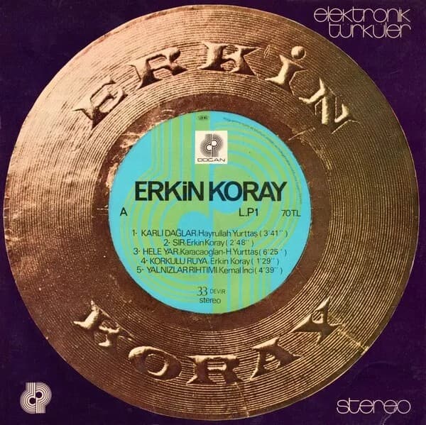 Album cover art for Elektronik Türküler