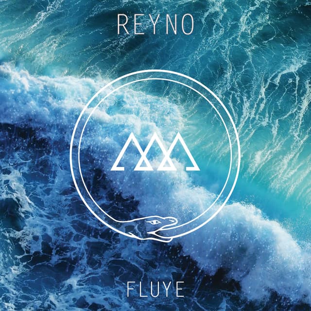 Album cover art for Fluye