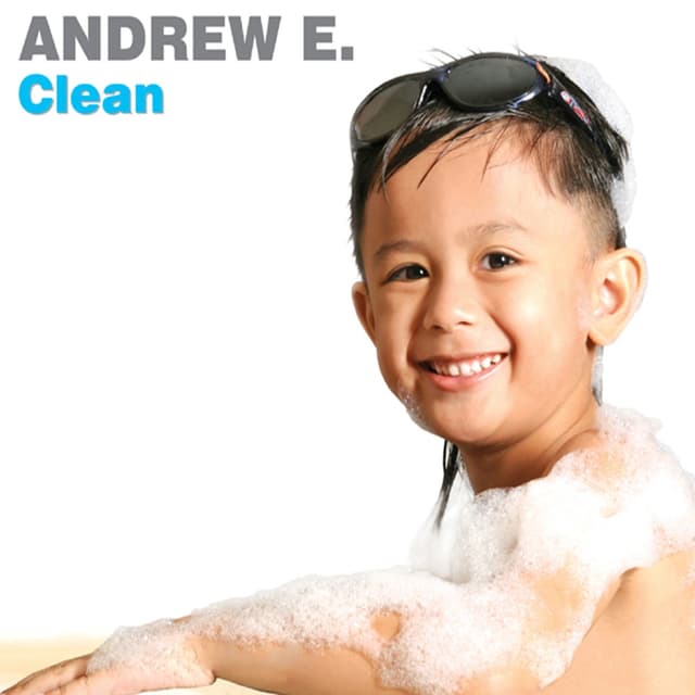 Album cover art for Clean