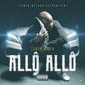 Album cover art for Allô Allô
