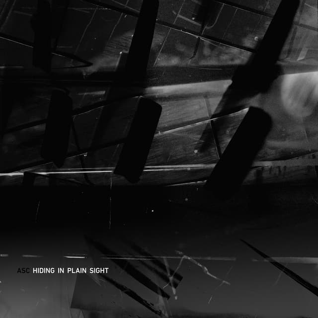 Album cover art for Hiding in Plain Sight