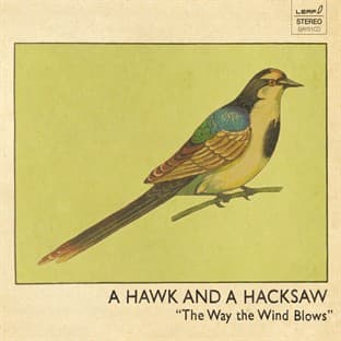 Album cover art for The Way the Wind Blows