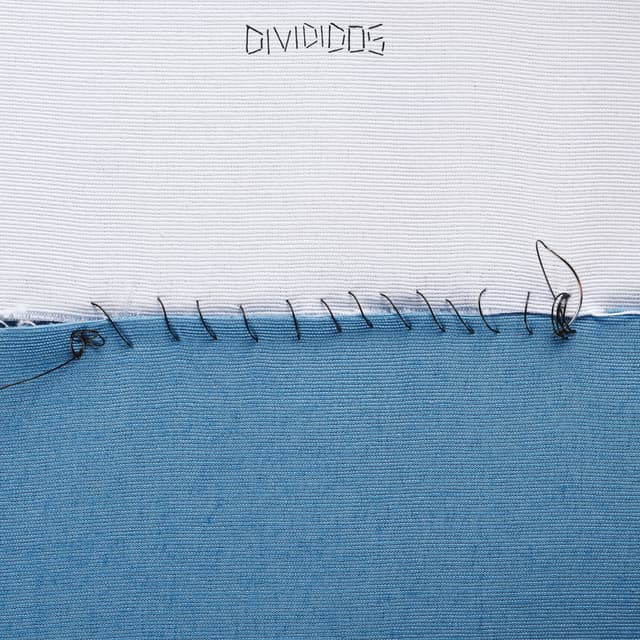 Album cover art for Divididos