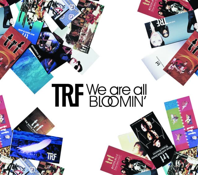 Album cover art for We are all BLOOMIN'