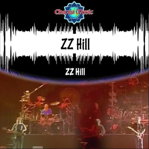 Album cover art for ZZ Hill