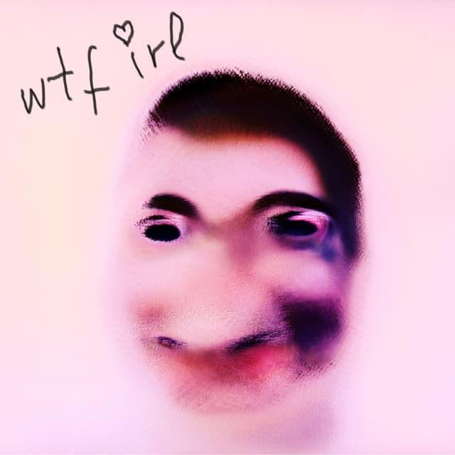 Album cover art for wtf irl