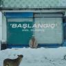 Başlangıç (Baslangic)