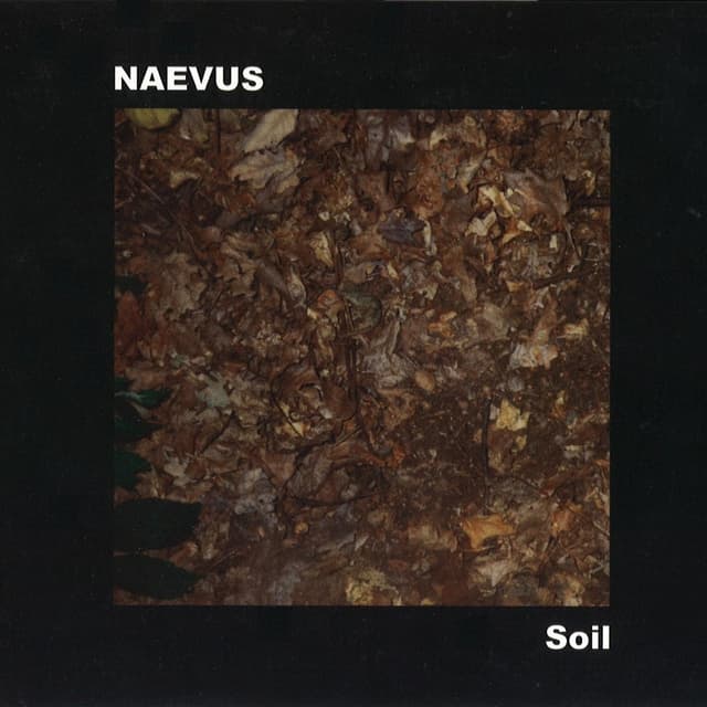 Album cover art for Soil