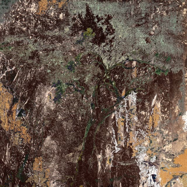 Album cover art for The Dirt, The Dancing