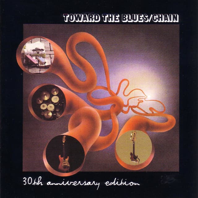 Album cover art for Toward The Blues 30th Anni Versary Edition