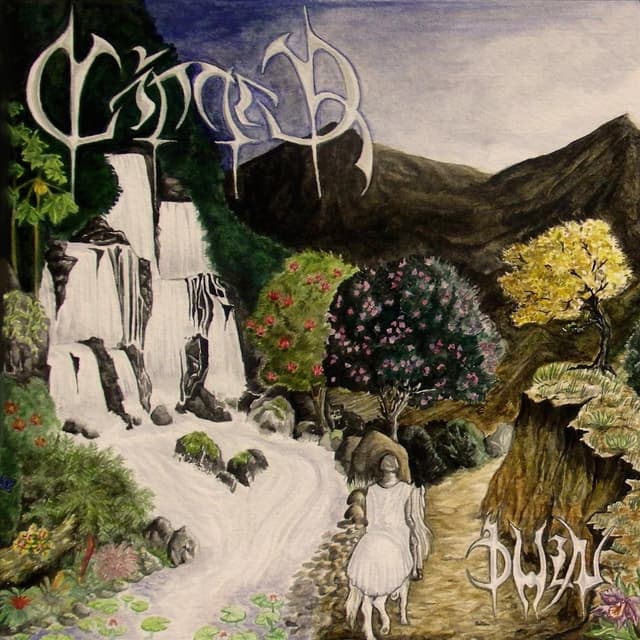 Album cover art for Duin