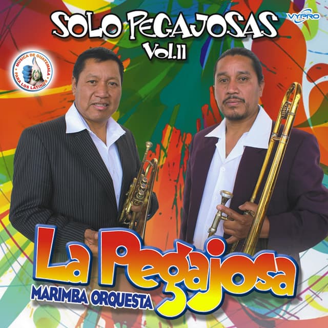 Album cover art for Solo Pegajosas Vol. 11. Música de Guatemala para los Latinos