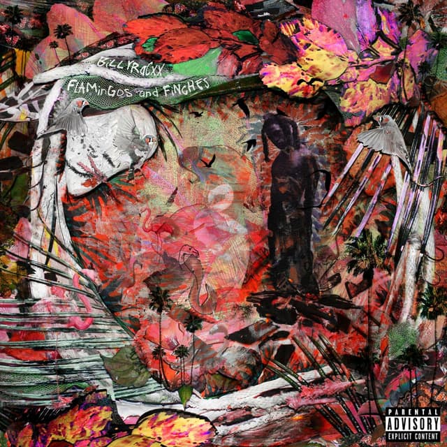 Album cover art for Flamingos and Finches