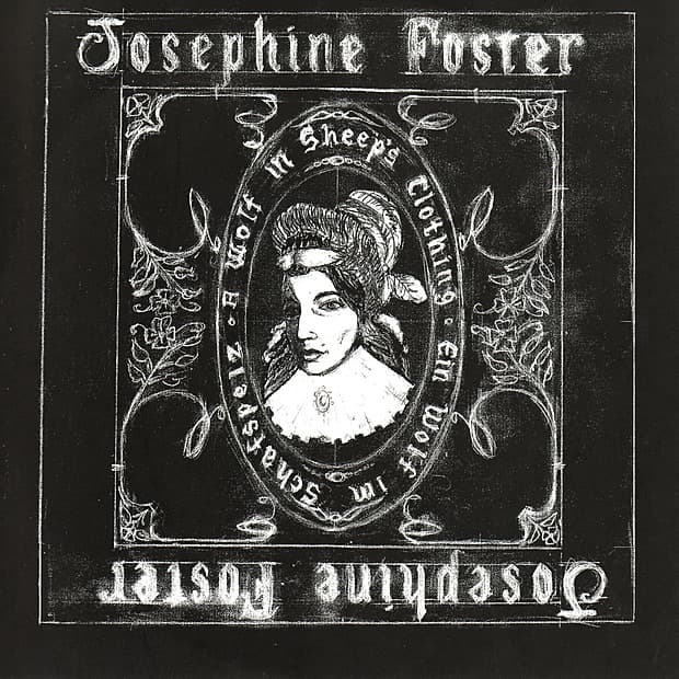 Album cover art for A Wolf In Sheep's Clothing