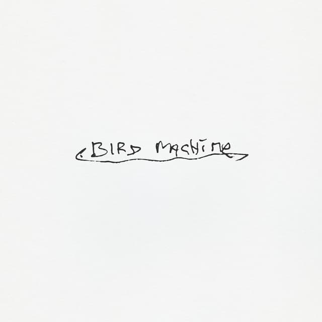 Album cover art for Bird Machine