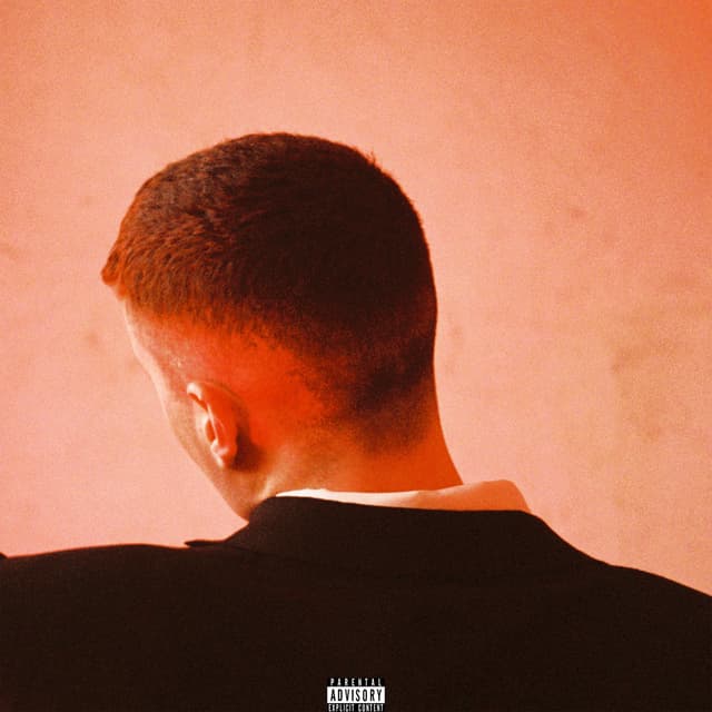 Album cover art for Permanent Damage