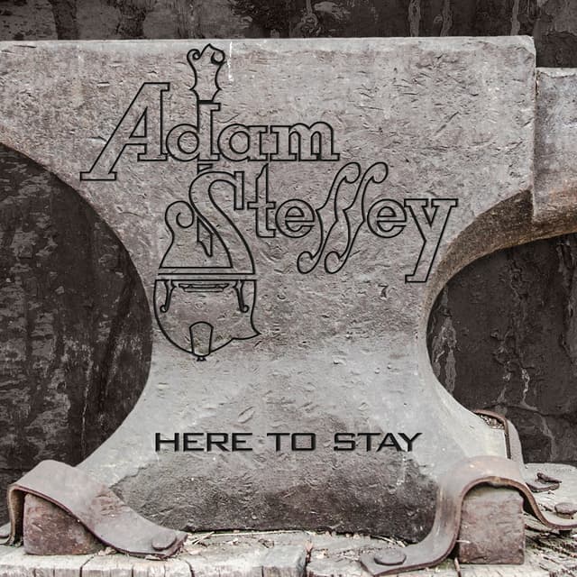Album cover art for Here To Stay