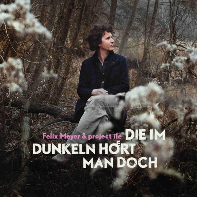 Album cover art for Die im Dunkeln hoert man doch