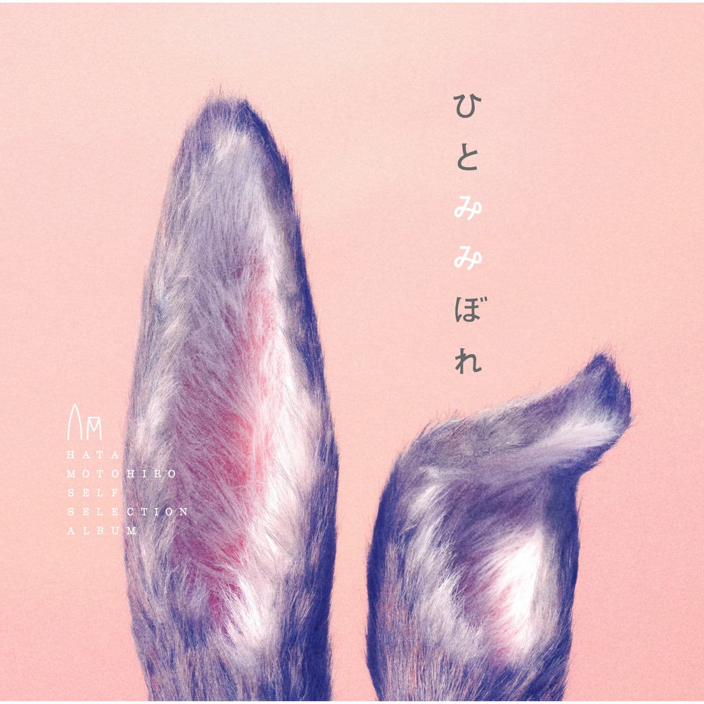 Lyrics | 秦基博 | ひまわりの約束 [Acoustic Version]