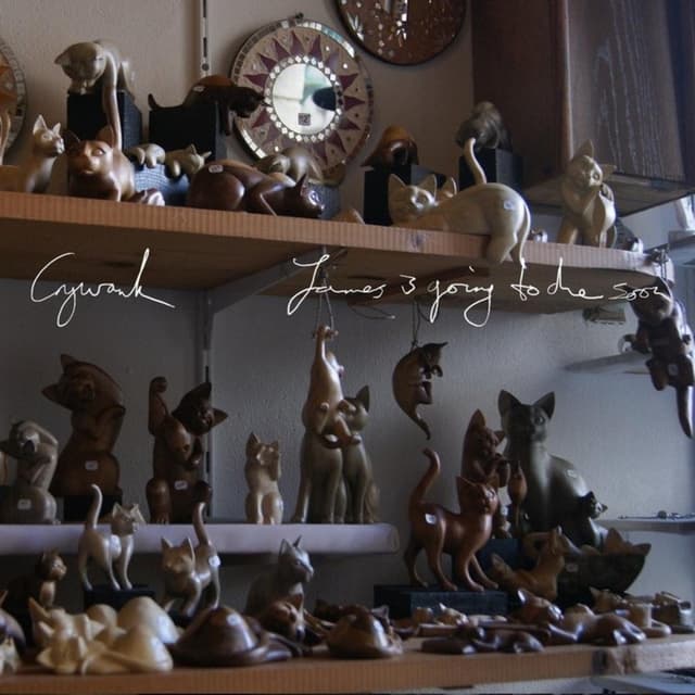 Album cover art for James Is Going to Die Soon