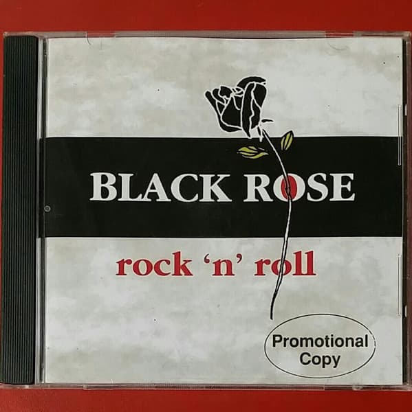 Album cover art for Rock 'N' Roll