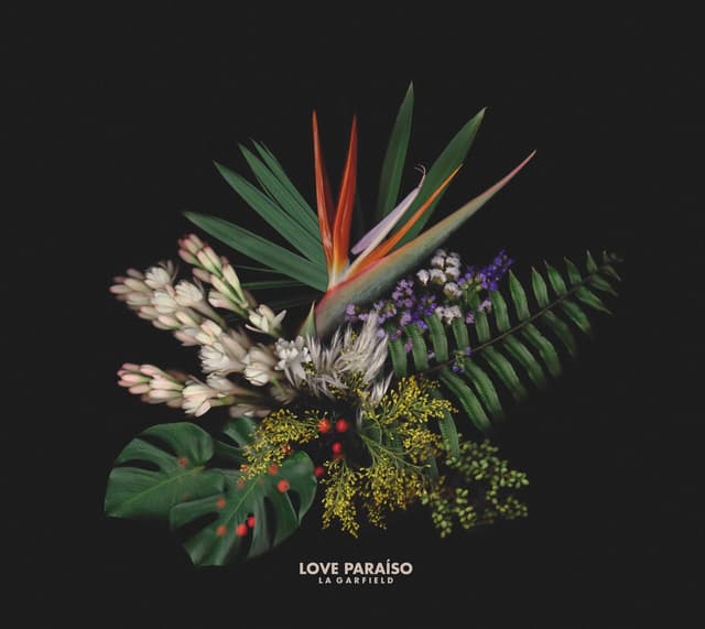 Album cover art for Love Paraíso