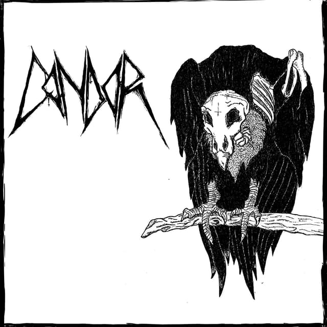 Album cover art for Condor