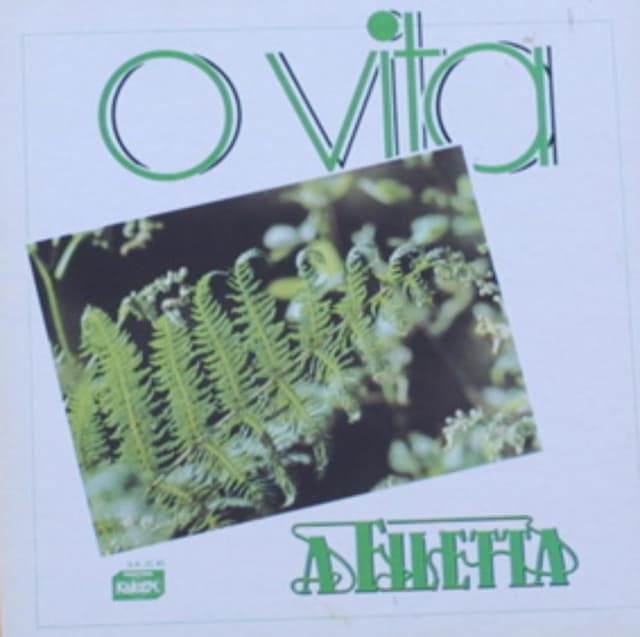 Album cover art for O Vita
