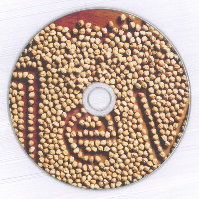 Album cover art for Hanno ucciso Ulrike Meinhof