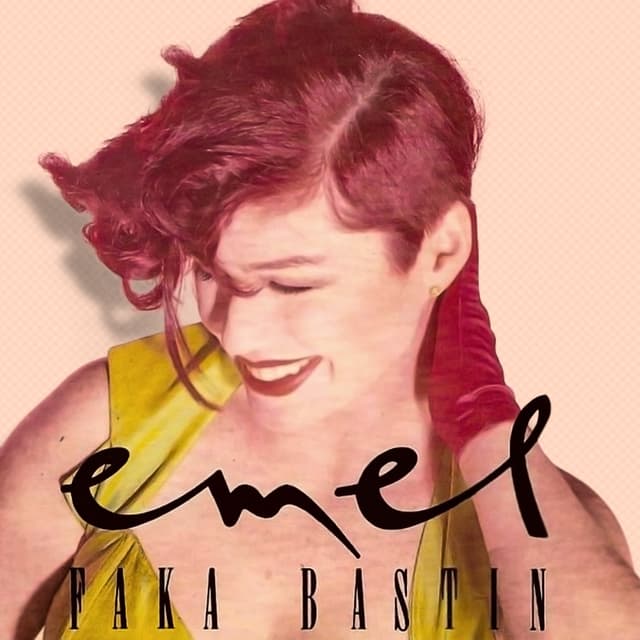 Album cover art for Faka Bastın