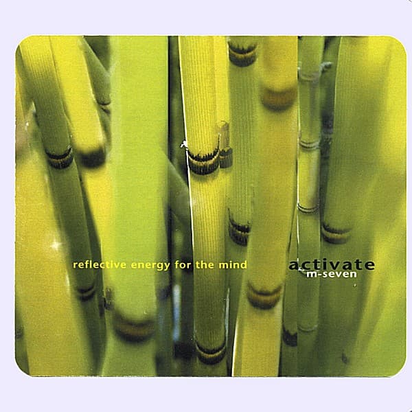 Album cover art for Activate