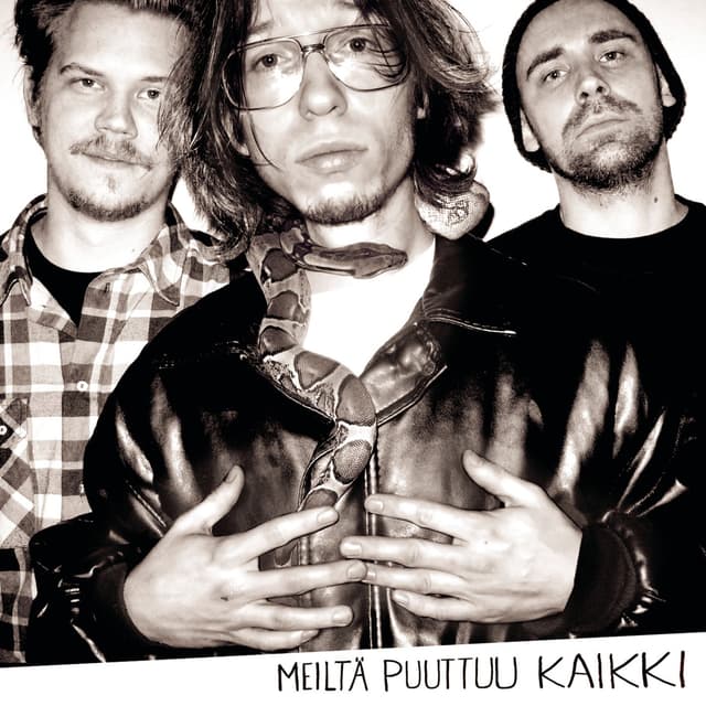 Album cover art for Meiltä Puuttuu Kaikki