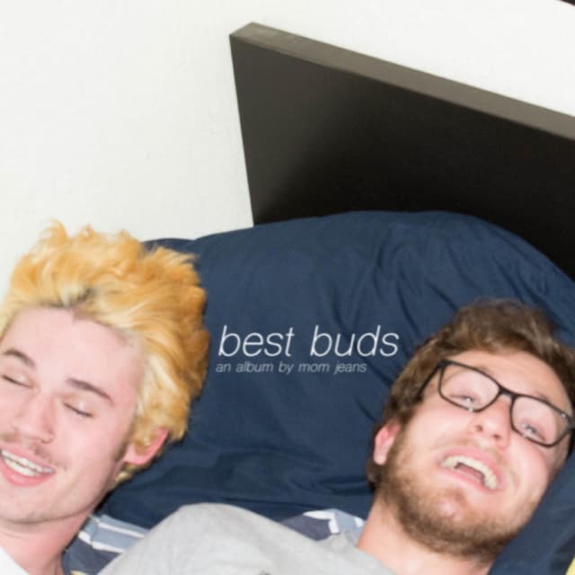 Album cover art for Best Buds