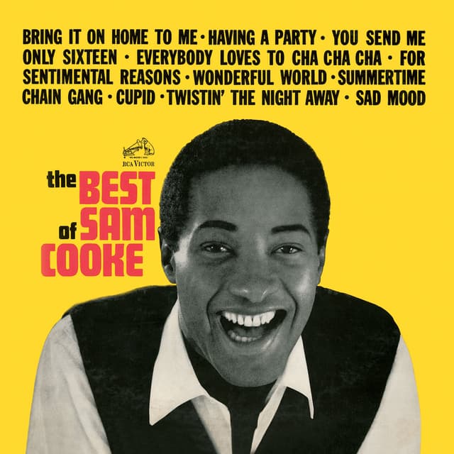 Album cover art for The Best Of Sam Cooke