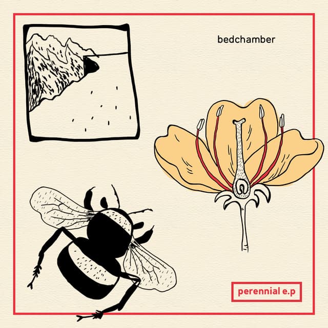 Album cover art for Perennial