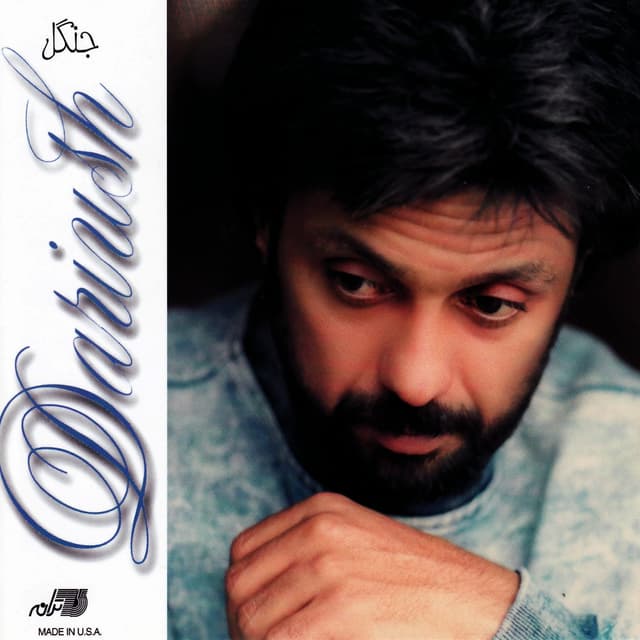 Album cover art for Jangal