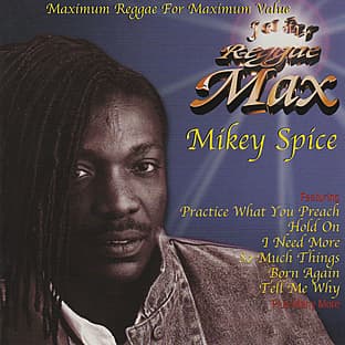 Album cover art for Reggae Max