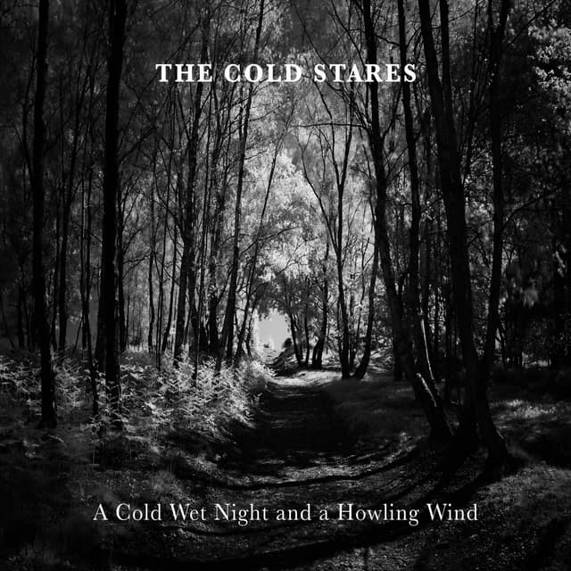 Album cover art for A Cold Wet Night and a Howling Wind