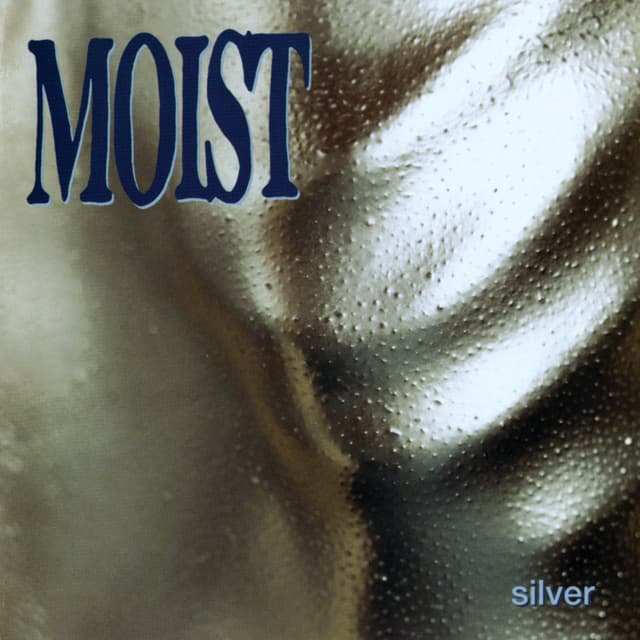 Album cover art for Silver