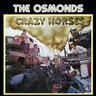 Crazy Horses