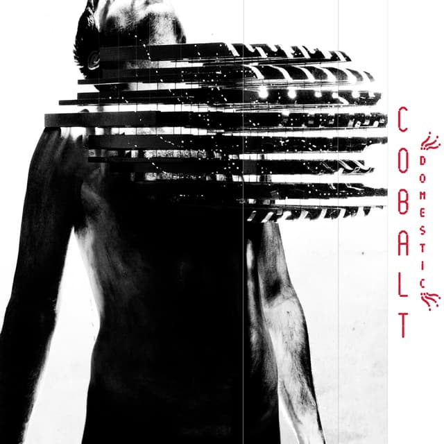 Album cover art for Domestic