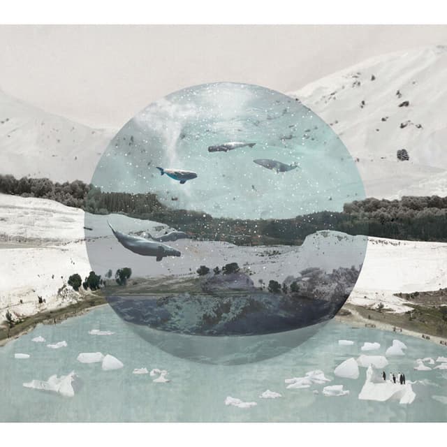 Album cover art for 백야